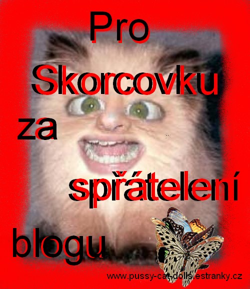 diplomek pro Skorcovku